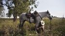 Amit, an Israeli cowboy, treats his horse after working with cattle on a ranch just outside Moshav Yonatan, a collective farming community, about 2 km (1 mile) south of the ceasefire line between Israel and Syria in the Golan Heights May 2, 2013. Cowboys, who have been running the ranch on the Golan's volcanic rocky plateau for some 35 years, also host the Israeli military, who use half of the cattle farm, 20,000 dunams (5,000 acres), as a live-fire training zone. Israel captured the Golan Heights from Syria in the 1967 Middle East war and annexed the territory in 1981, a move not recognized internationally. Picture taken May 2, 2013. REUTERS/Nir Elias (ENVIRONMENT ANIMALS SOCIETY) ATTENTION EDITORS: PICTURE 4 OF 27 FOR PACKAGE 'COWBOYS OF THE GOLAN HEIGHTS' SEARCH 'COWBOY GOLAN' FOR ALL IMAGES Published: Kvě. 29, 2013, 10:02 dop.