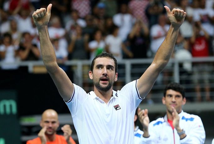 Tenisté Chorvatska postupují do finále Davis Cupu (Marin Čilič)