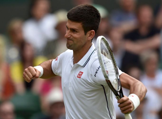 Wimbledon 2014: Štěpánek - Djokovič