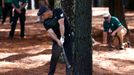 Golf - The Masters - Augusta National Golf Club - Augusta, Georgia, U.S. - November 12, 2020 Bryson DeChambeau of the U.S. plays out of the woods on the 13th during the f