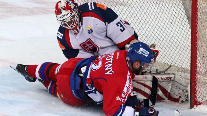 i když Jiří Novotný dokázal slovenského brankáře Rastislava Staňu dvakrát překonat, k bodovému zisku to českému týmu nepomohlo.
