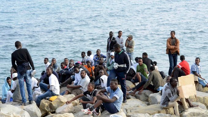 Zveřejněná studie se týká migrace přes Středozemní moře.