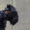 Fotogalerie: Blizard v USA - únor 2013