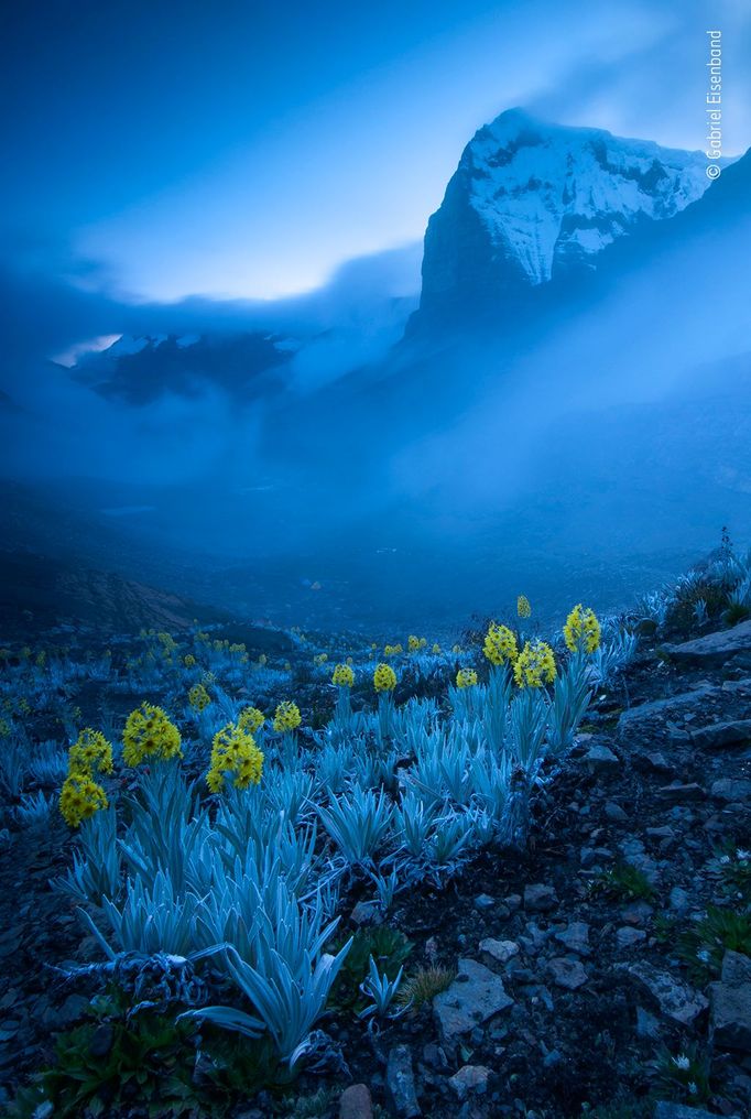 Vítězové soutěže Wildlife Photographer of the Year 2020