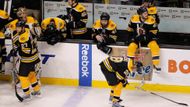 Zklamaní hokejisté Bostonu nemohli věřit