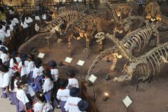 Arabský poloostrov poprvé odhalil stopy dinosaurů