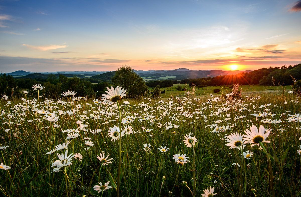 Putování Českem, Via Czechia