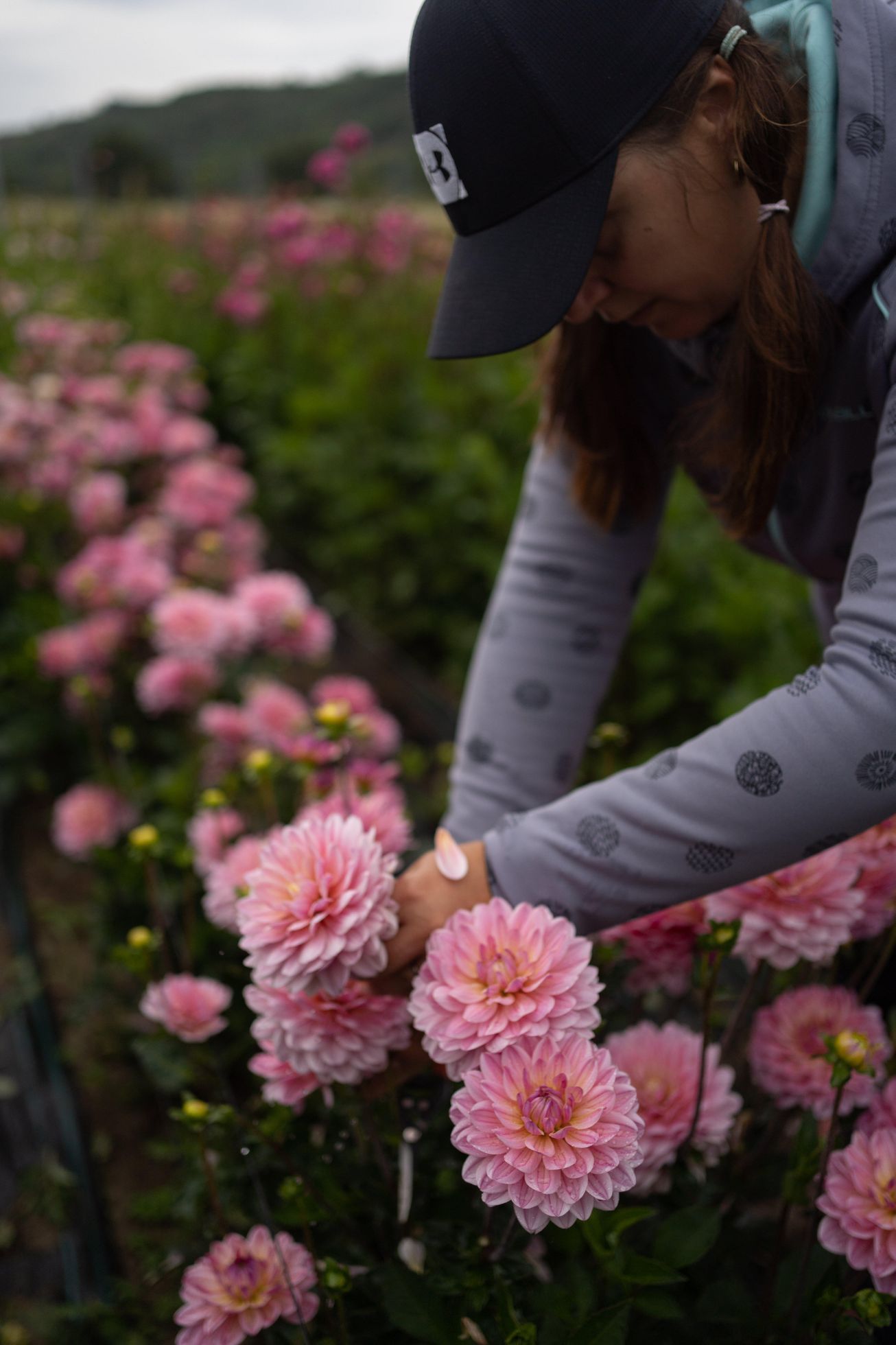 Kveetkomat Němčičky