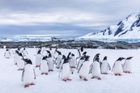 Práce pro vášnivé dobrodruhy. Britská organizace hledá uchazeče o místa v Antarktidě