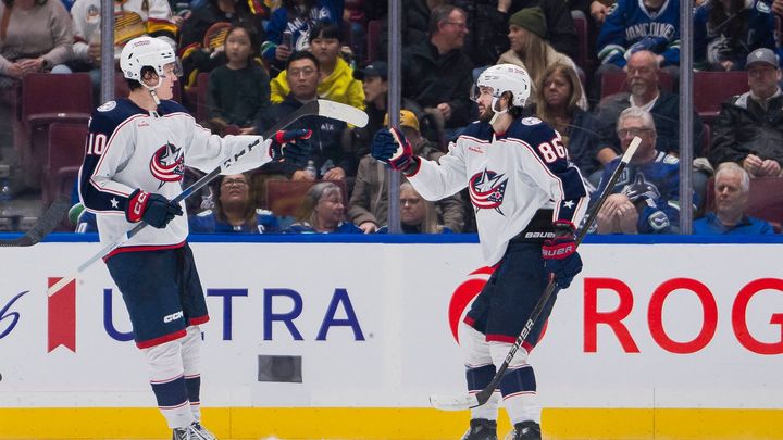 "A kdy bude noc pro nacisty?" Klub NHL nakonec zrušil oslavu Ruska, ozval se i Hašek; Zdroj foto: Reuters