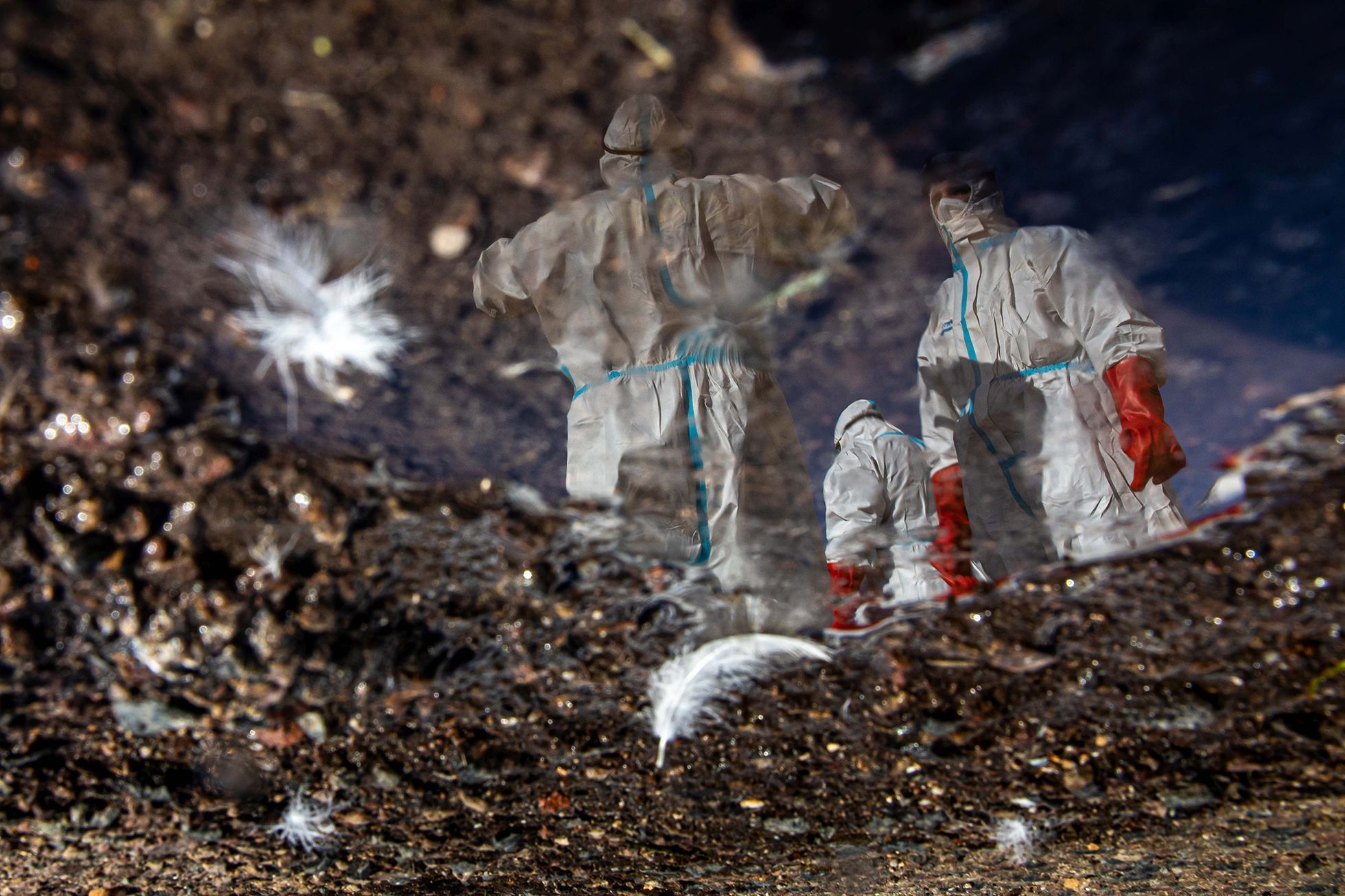 Czech Press Photo 2021 - vítězné snímky v kategorii Životní prostředí