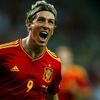 Finále Eura: Španělsko - Itálie (Fernando Torres se raduje ze třetí branky)