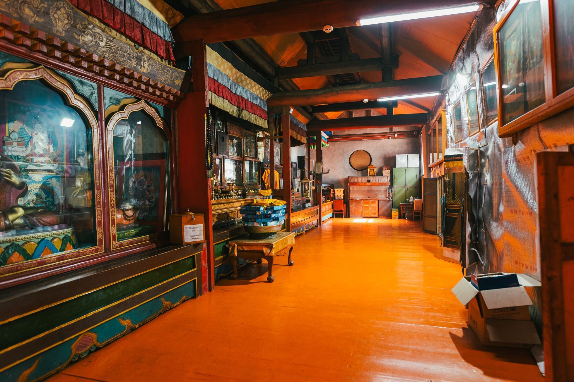 Žlutá žába Dan Přibáň