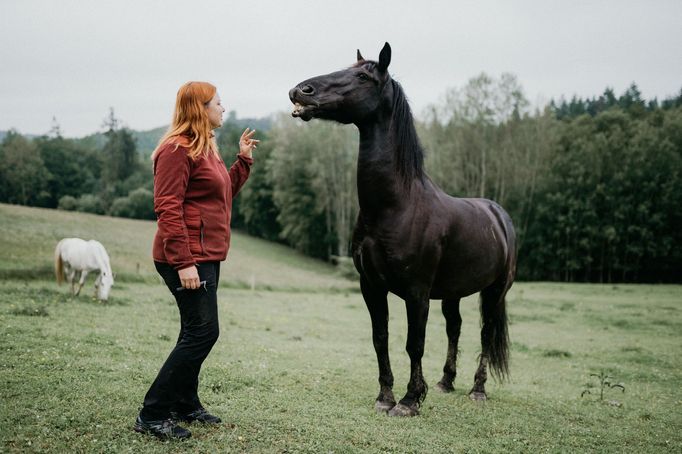 Johana Spáčilová a její stáj.