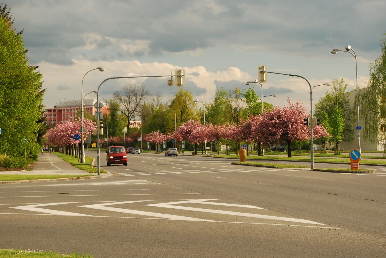 Alej roku 2014 - Třída 17. listopadu v Karviné