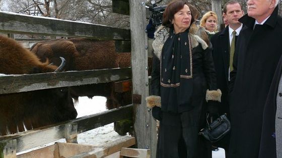 Klausova poslední leč