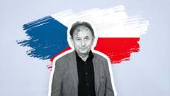 Vize česka (Michal Žantovský) - Ikona, poutací foto