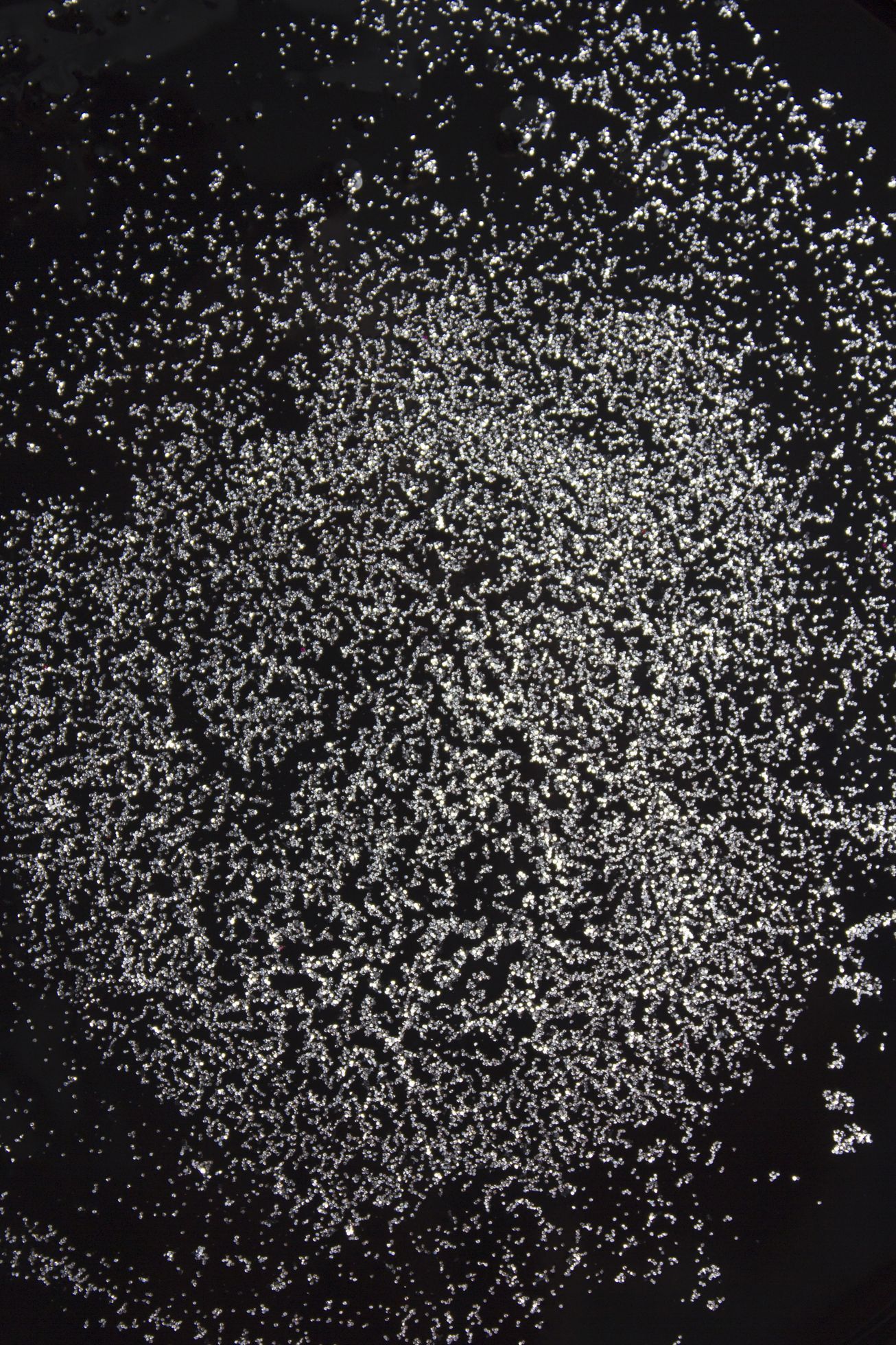 Sphere Dance, Petra Vlčková, výstava, Galerie Fotografic,Praha, Foto, Magazín