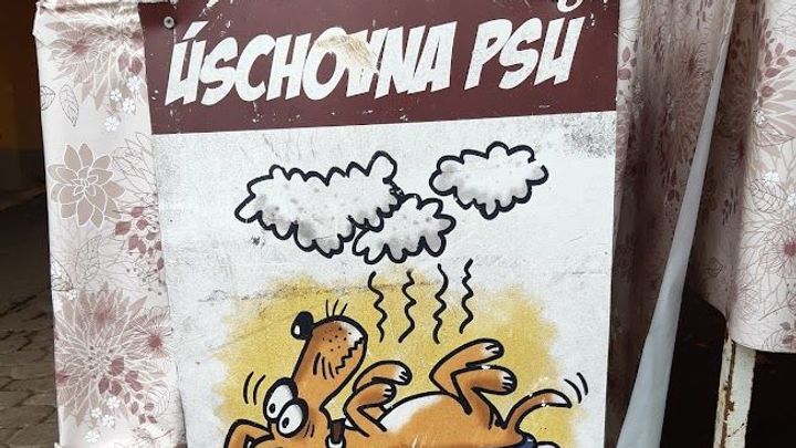 Bizarní a vtipné cedule. Nový výběr vašich nejlepších úlovků z Česka i ze světa