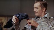 Film Havran, 1963
