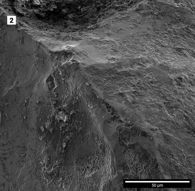 Detail: Povrch střepiny s drobnými nekovovými nečistotami, které se během snímání mikroskopem elektricky nabíjí.