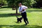 V Trumpově Bílém domě chybí "první pes". Nakonec to ale může být spíš kočka
