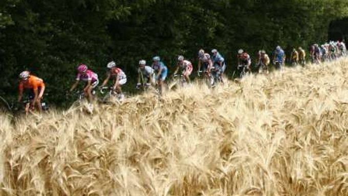 Peloton Tour de France na trati čtvrté etapy 93. ročníku toho prestižního závodu.