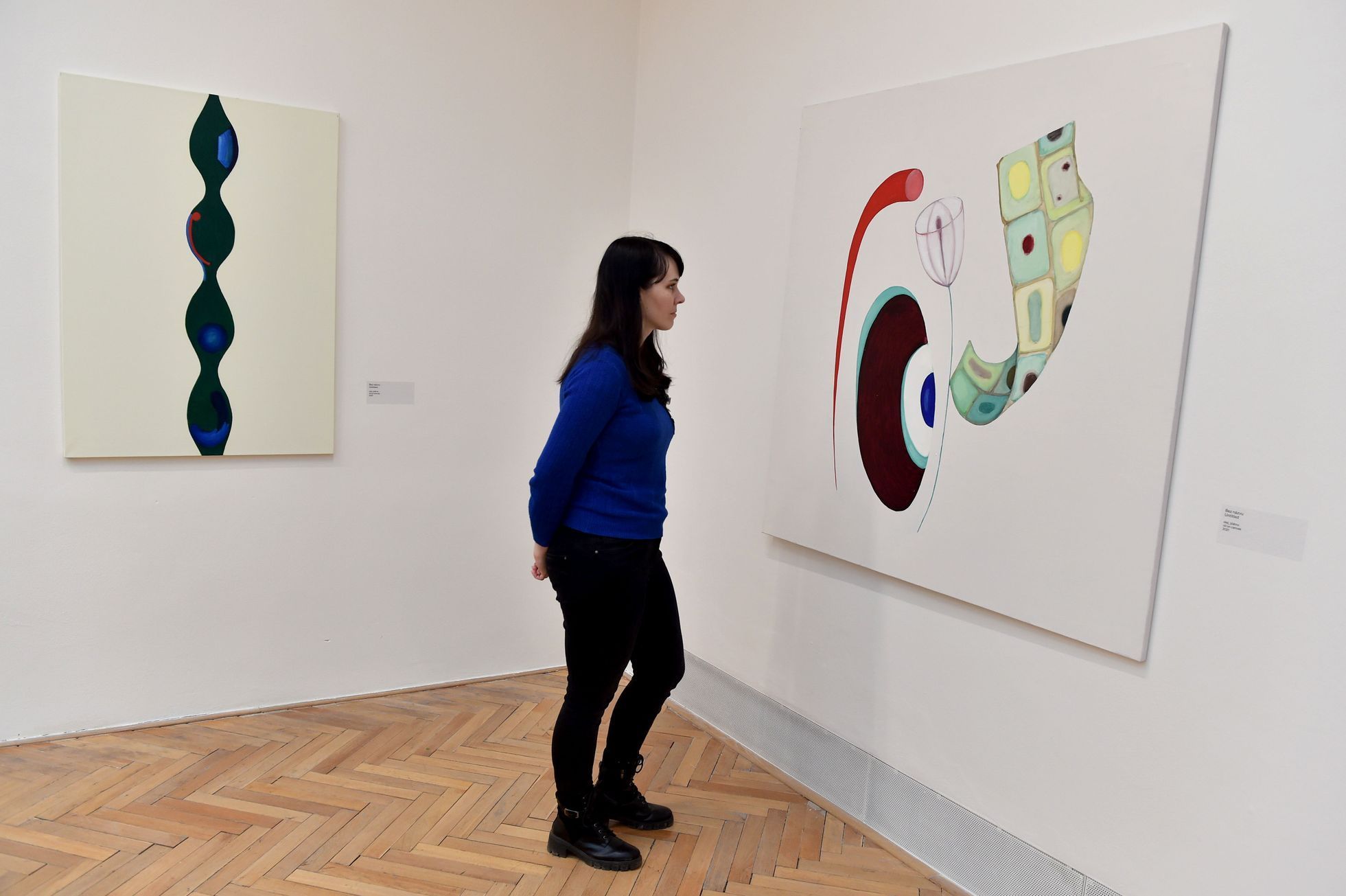 Viktor Pivovarov: Zahrady mnicha Rabinoviče