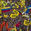 Venezuela - prezidentské volby 2012