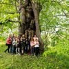 Strom roku 2021 - Běleňská lípa
