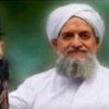 Ajmán Zavahrí, Al-Káida, terorista