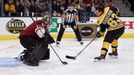 2017 NHL All Star Game: Mike Smith (41), Arizona a Brad Marchand (63), Boston