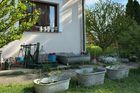 Zděděný statek nad Berounkou, zvířata, dítě v náručí a úspěšný profil. Veronika Kateřina Nováková si život na vesnici nevysnila – a když se z rekonstrukce starého domu po dědečkovi stala černá díra na peníze - ani tak nezalitovala.