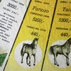 Skutečné osudy koní z Dostihů a sázek