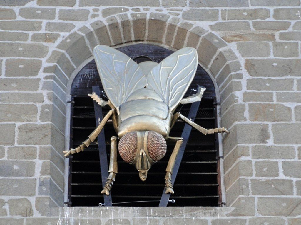 Obří moucha na Černé věži v Budějovicích