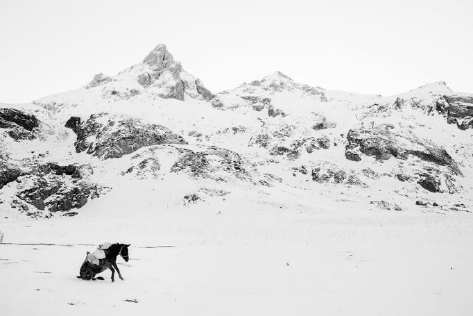 Frederik Buyckx - Vítěz Sony World Photography Awards 2017