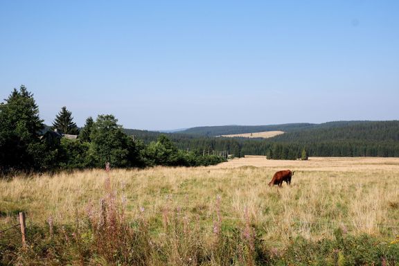 Rašeliniště, krávy pasoucí se na loukách, hluboké lesy i tajemná historie.