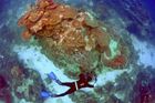 Vědci spustili obří plán na záchranu bariérového útesu. Pomohou jim korálové "školky"