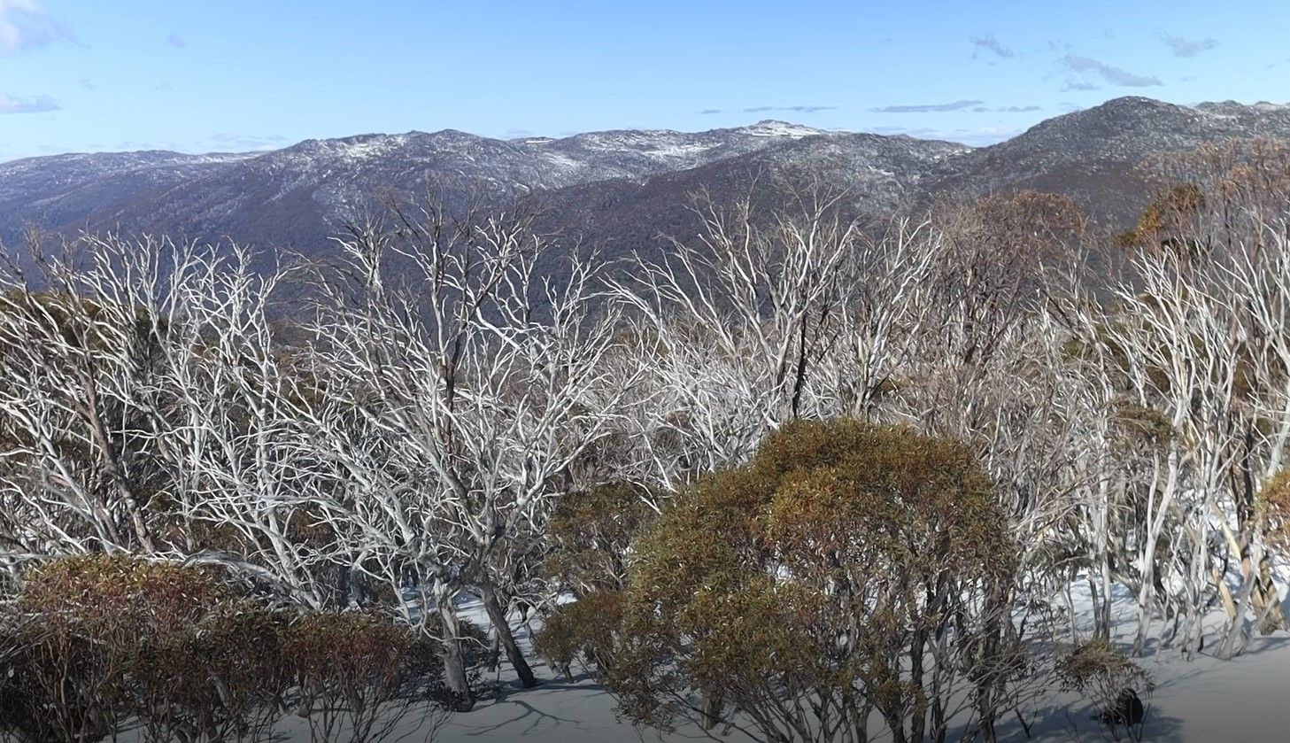 František Příhoda, nejstarší žijící olympionik z Česka