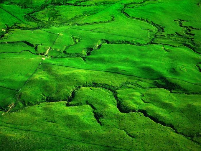 Bildnummer: 53969462 Datum: 26.01.2007 Copyright: imago/blickwinkel Farmland, Neuseeland Farmland, New Zealand BLWS051831 Reisen Natur Highlight kbdig xng 2007 quer Oekologie Landschaftsverbrauch Umwelt Landwirtschaft Abholzung Umweltschutz Entwaldung Viehwirtschaft Weide Weiden Viehweide Viehweiden einfarbig monochrom Farbe Farben Gruen Landschaft Landschaften Luftaufnahme Luftaufnahmen Luftbild Luftbilder Hintergrund (Layout) Hintergruende (Layout) Hintergrundbild Hintergrundbilder Querformat Ozeanien ozeanisch Pazifische Inseln Polynesien Neuseeland neuseelaendisch ecology consumption of landscape encroachment on the countryside environment agriculture deforestation disforestation clearing habitat loss logging livestock farming pasture pastures meadow meadows feedlot feedlots monochrome color colour colors colours green landscape landscapes aerial photo aerial photos air photo air photos aerial view aerial views background (layout) backgrounds (layout) background image background images horizontal format Oceania Oceanian Pacific Islands Polynesia New Zealand New Zealandian Bildnummer 53969462 Date 26 01 2007 Copyright Imago Angle Farmland New Zealand Farmland New Zealand Travel Nature Highlight Kbdig xng 2007 horizontal Ecology Landscape consumption Environment Agriculture Deforestation Environmental Protection Deforestation Livestock Pasture Pastures Livestock grazing Cattle pastures monochrome monochrome Color Colours Gruen Landscape Landscapes Air intake Aerial photographs Luftbild Aerial photos Background Layout Background Layout Wallpaper Background images Landscape Oceania paddlingperson oceanic Pacific Islands Polynesia New Zealand New Zealand Ecology Consumption of Landscape encroachment ON The Countryside Environment Agriculture disforestation Clearing Habitat Loss logging Livestock Farming Pasture pastures Meadow Meadows feedlot feedlots monochrome Color Colour Colors Colours Green Landscape LANDSCAPES Aerial Photo Aerial Photos Air Photo Air Photos Aerial View Aerial Views Background Layout backgrounds Layout Background Image Background Images horizontally Format OCEANIA Oceanian Pacific Islands Polynesia New Zealand New