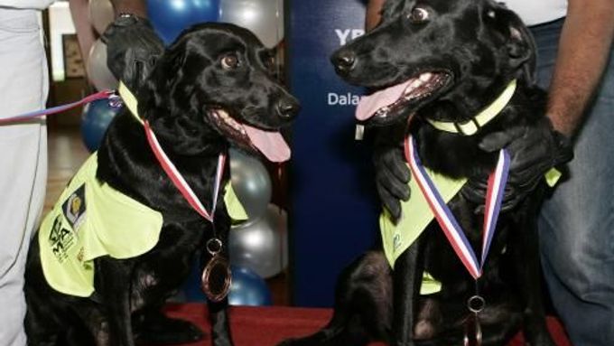 Lucky (vpravo) a Flo bezprostředně po udělení slavnostních medailí