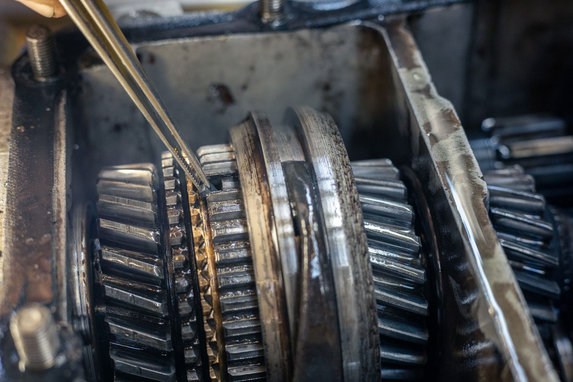 žlutá žába irán O7