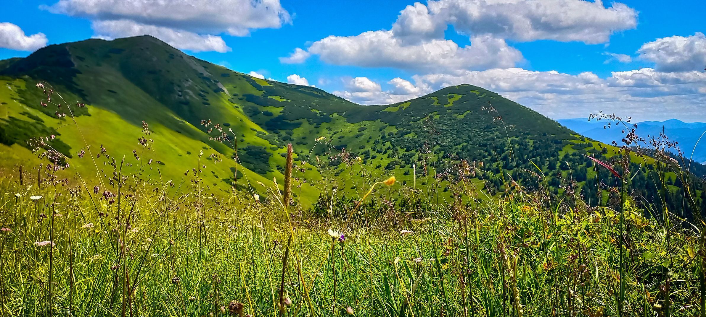 Archiv Jany Doktorové