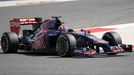 F1 2014: Daniilo Kvjat (Toro Rosso)