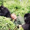 Jednorázové užití / Fotogalerie / Legendární britský přírodovědec David Attenborough slaví 95. narozeniny