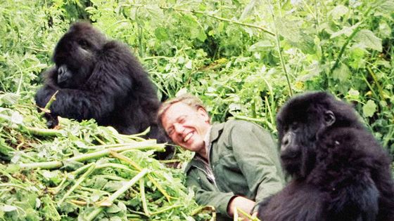 Foto: Hlas, který vypráví o krásách přírody. Attenborough pronikl i mezi domorodce