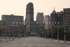 Detroit je insolventní, vyhlíží ochranu před věřiteli