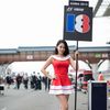 F1, VC Koreje 2013: grid girl, Jean-Eric Vergne, Toro Rosso