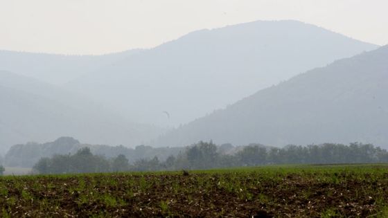 Ve stínu Draka. Valašsko svírá metanolová paranoia