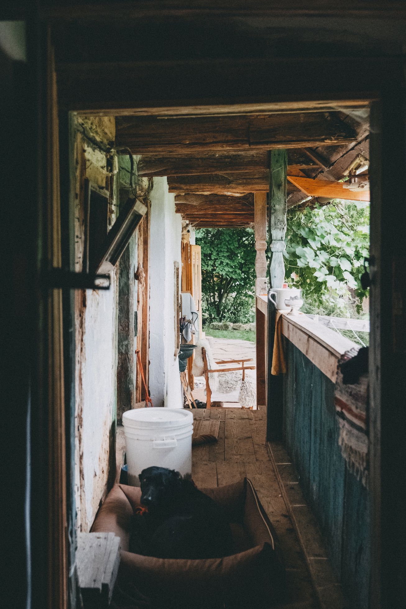 na okraji domov můj, kniha, rodina, bydlení, dům, podnikatel